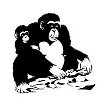 Wild Chimpanzee Foundation