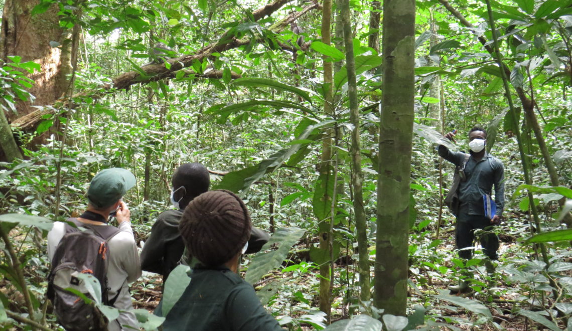 Comment bien se comporter en forêt, Parc National de Taï