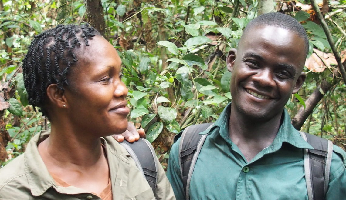 Nicole et Evariste vous accueillent au coeur du Parc National de Taï pour vous montrer les vestiges de la plus grandes forêt primaires de l'Afrique de l'Ouest