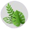 logo eco
